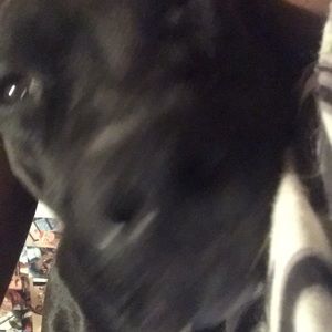 Meet your Posher, Evan